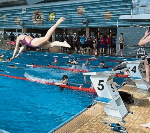 Emsteker schwimmen auf Medaillenplätze